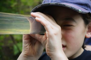 Whitebait Connection water quality testing April 2017